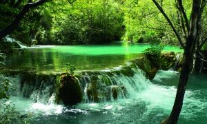 Séjour Croatie Istrie